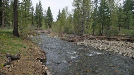 Timberland Property in Lassen County, California