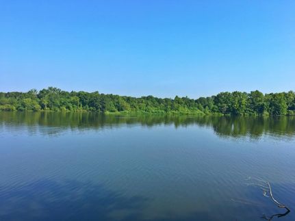 Undeveloped Land in Lowndes County, Alabama