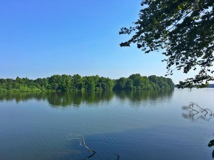 Riverfront Property in Lowndes County, Alabama