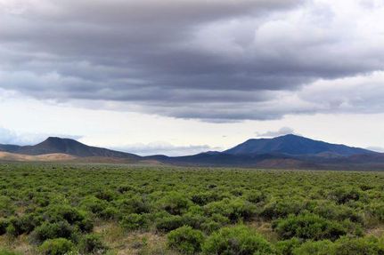 Timberland Property in Humboldt County, Nevada
