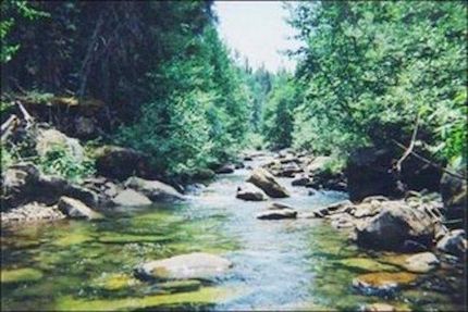 Riverfront Property in Jackson County, Colorado