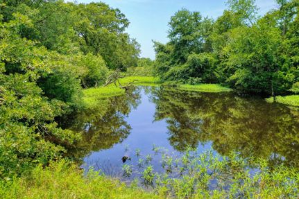 Land in Robertson County, Texas