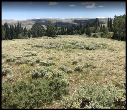 Farm and Ranch in Lincoln County, Wyoming
