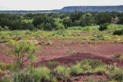 Farm and Ranch in Knox County, Texas