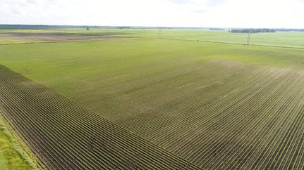 Land in Blue Earth County, Minnesota