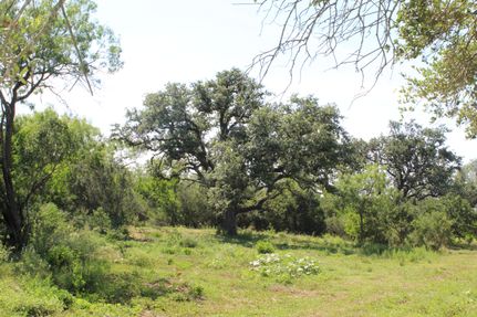 Farm and Ranch in Frio County, Texas