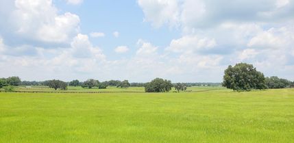 Farm and Ranch in Marion County, Florida