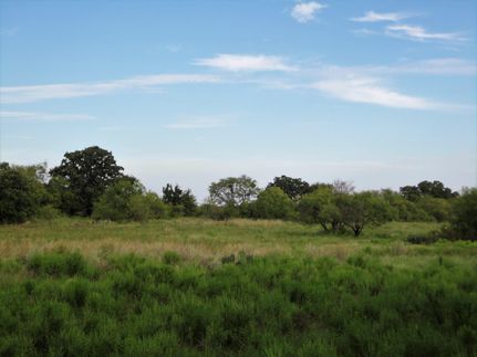 Farm and Ranch in Jack County, Texas
