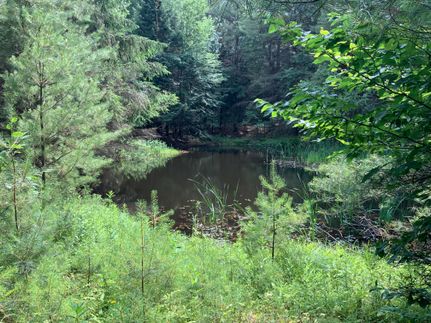 Commercial Property in Oswego County, New York