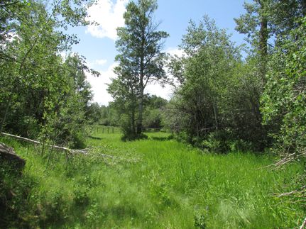 Farm and Ranch in Teton County, Idaho