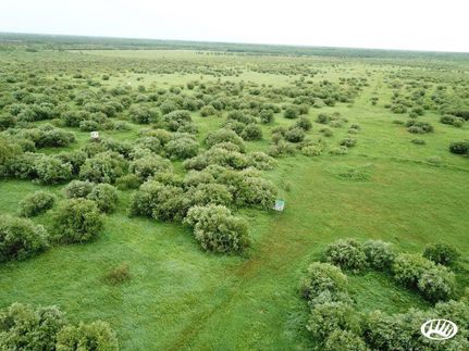 Farm and Ranch in Lake of the Woods County, Minnesota