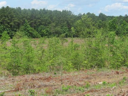 Land in Sabine Parish, Louisiana