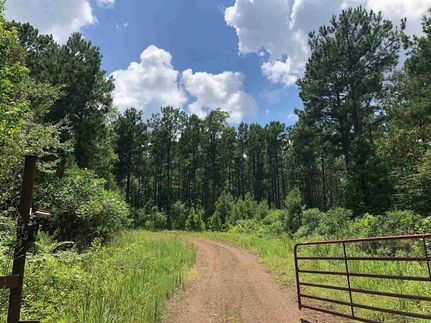 Recreational Property in Sabine County, Texas