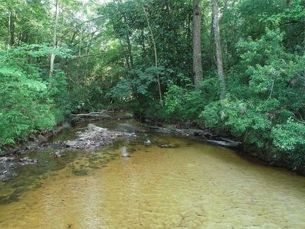 Timberland Property in Wayne County, Mississippi