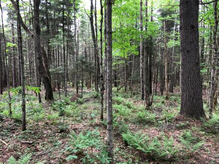 Recreational Property in Herkimer County, New York