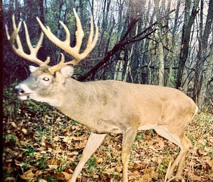 Land in Parke County, Indiana