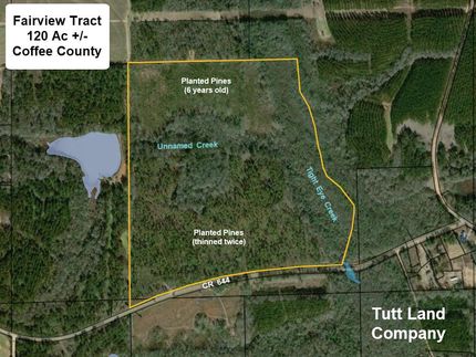 Recreational Property in Coffee County, Alabama