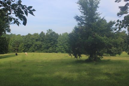 Timberland Property in Calhoun County, Mississippi