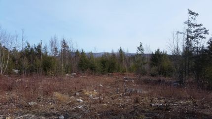 Land in Penobscot County, Maine