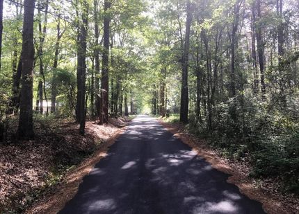 Undeveloped Land in Lamar County, Mississippi