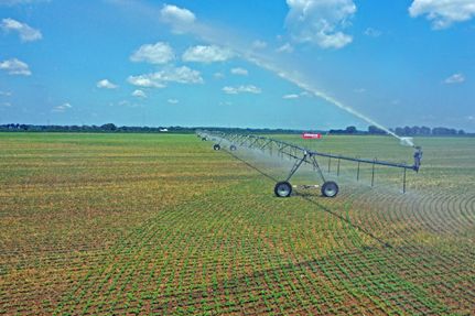 Undeveloped Land in Fountain County, Indiana