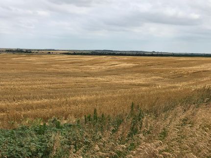 Hunting Property in Rooks County, Kansas