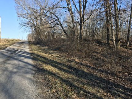 Undeveloped Land in Marion County, Illinois