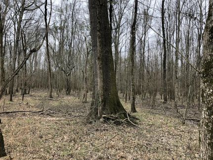 Recreational Property in Rankin County, Mississippi