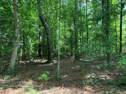 Timberland Property in Pike County, Alabama