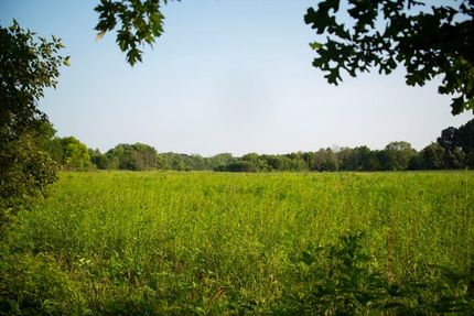 Timberland Property in Putnam County, Indiana