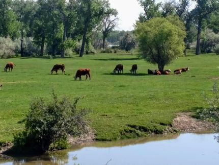 Commercial Property in Yellowstone County, Montana