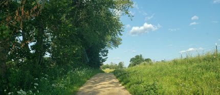 Timberland Property in Richland County, Wisconsin