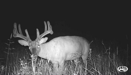 Hunting Property in Sullivan County, Missouri