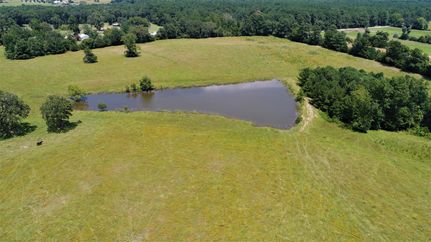 Undeveloped Land in Houston County, Texas
