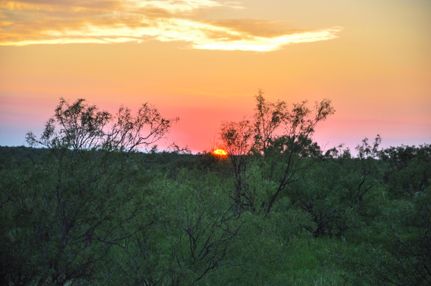 Land in Borden County, Texas