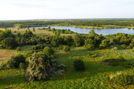 Timberland Property in Limestone County, Texas