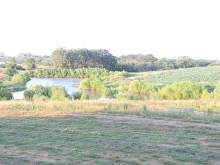 Land in Davis County, Iowa