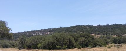 Farm and Ranch in Bandera County, Texas