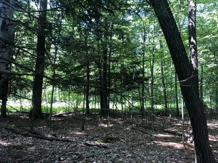 Undeveloped Land in Warren County, New York