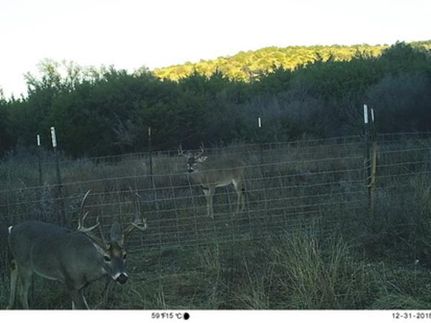 Hunting Property in Edwards County, Texas