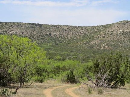 Hunting Property in Coke County, Texas