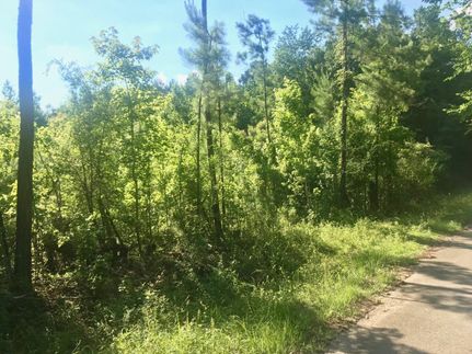 Timberland Property in Tyler County, Texas