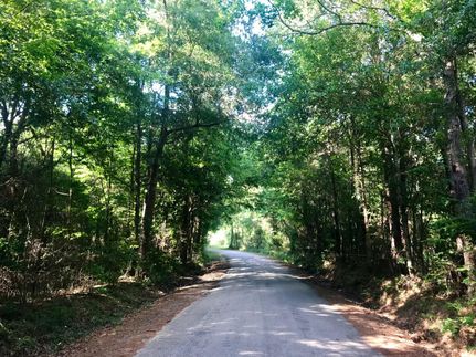 Timberland Property in Tyler County, Texas