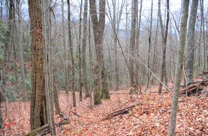 Recreational Property in Rabun County, Georgia