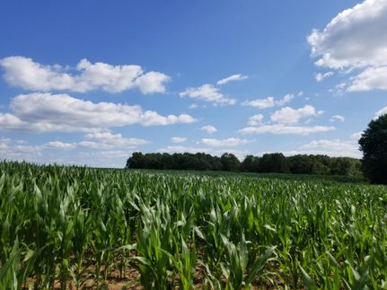 Recreational Property in Montgomery County, Missouri