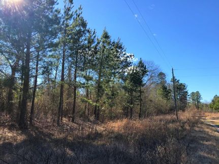 Undeveloped Land in Barnwell County, South Carolina