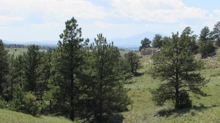 Undeveloped Land in Platte County, Wyoming