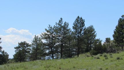 Farm and Ranch in Platte County, Wyoming