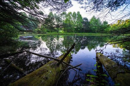Recreational Property in Transylvania County, North Carolina