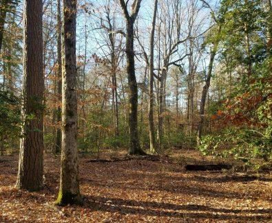 Recreational Property in Grant County, Arkansas